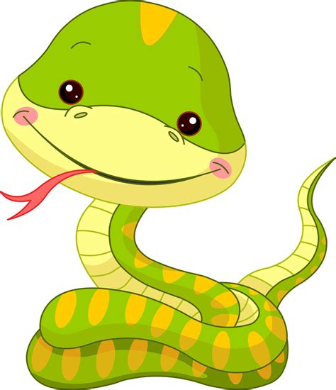 Dessin Animé Mignon Serpent Vert Vecteur Premium