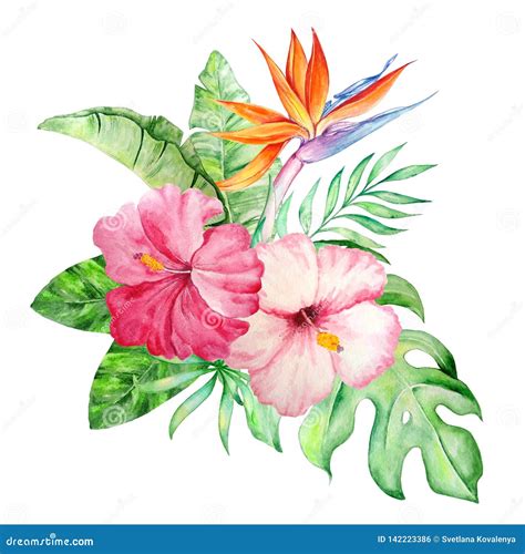 dessiner des fleurs tropicales