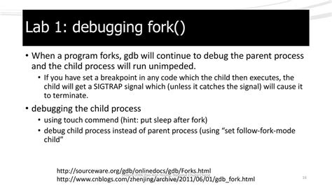 Detaching After Fork From Child Process Gdb