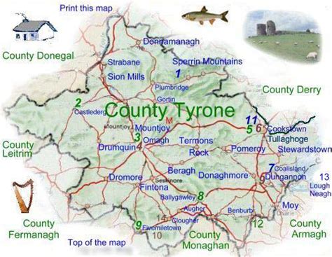 detailed map of county tyrone