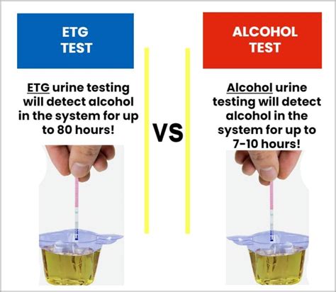Alcohol (EtG) Urine Test APAC Security Australia Urine Drug Test