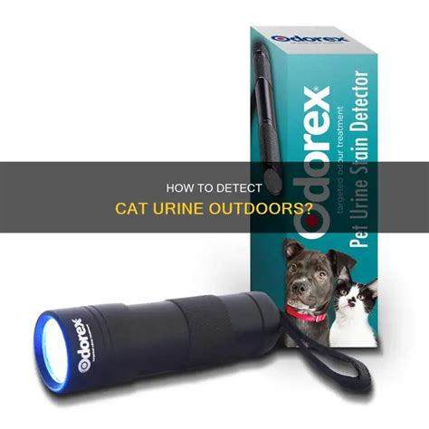 Detect Cat Urine