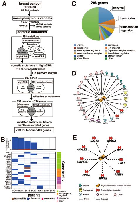Detection And Analysis Of Mutations