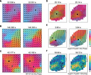 Detection And Analysis Of Spatiotemporal Patterns In Brain Activity