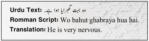 Detection In Urdu