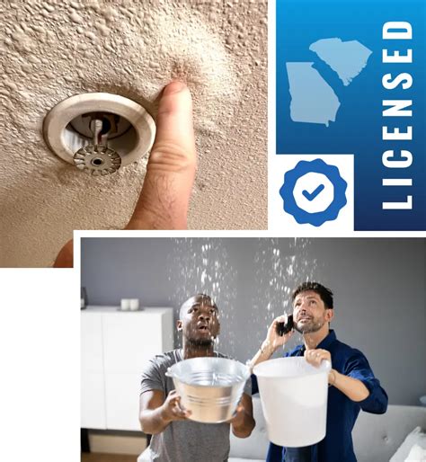 detection savannah leak