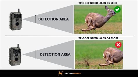 Night Vision HD Delayed Continuous Shooting Field Deer Hunting Video