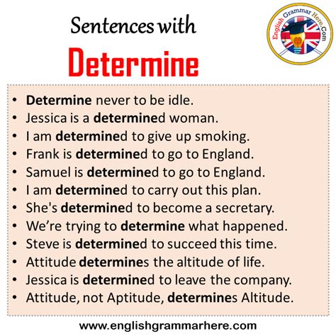 determine use in sentence