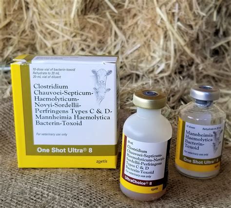 detox vaccines for cattle