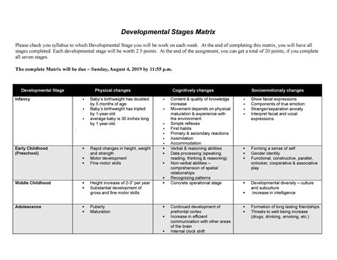 development matrix example