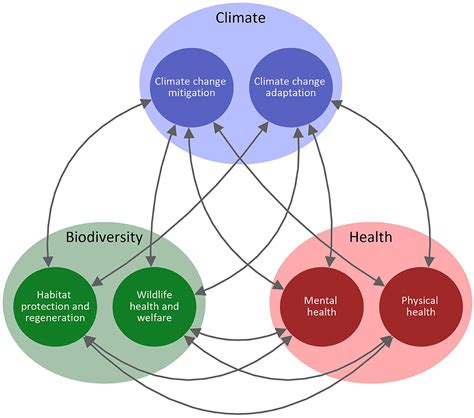 development plan and ecosystem growing