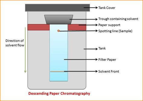 Development Techniques In Paper Chromatography