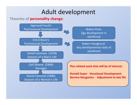 developmental theories in adulthood