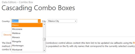 Devexpress Combobox Example
