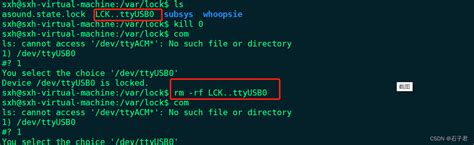 Device /dev/ttyUSB0 locked by PID 3112 and process exists, failed to acquire lock · Issue 1368