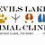 devils lake animal clinic