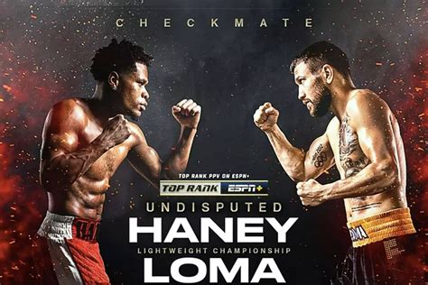 devin haney vs lomachenko fight stats