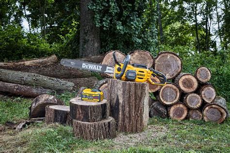 Dewalt Chainsaw Forum