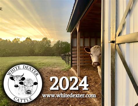 Dexter Calendar 2024