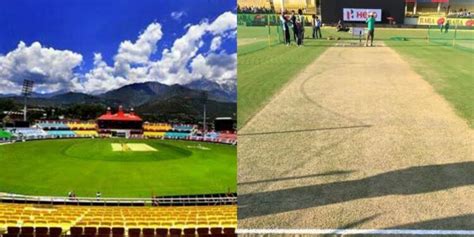 dharamshala cricket stadium pitch report
