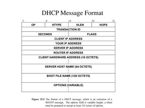 dhcp discover message format