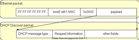 dhcp discover packet format