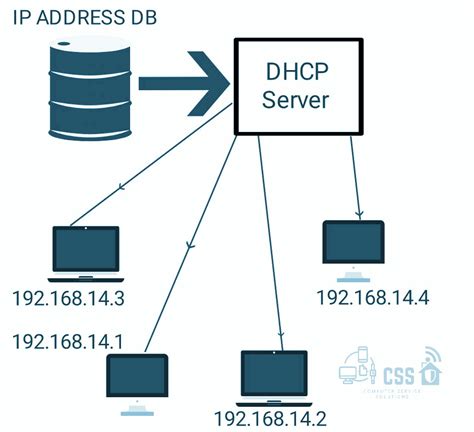 dhcp in computer networking