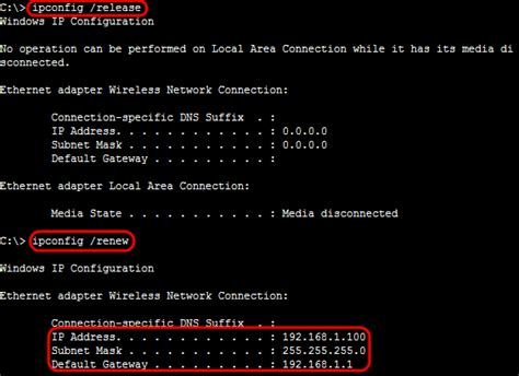 dhcp ip release and renew command