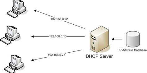 dhcp on firewall or server