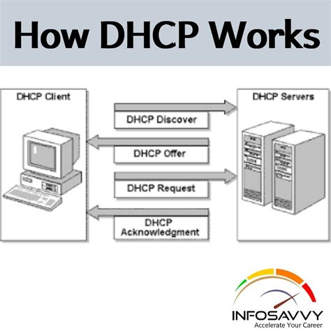 dhcp protocol in computer networks