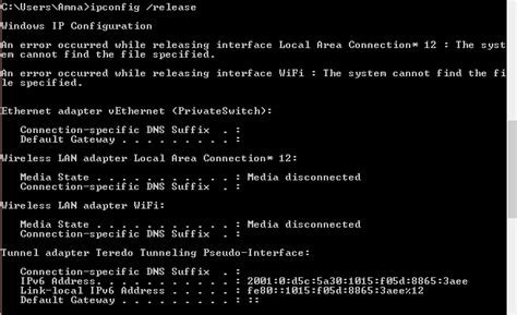 dhcp release renew command