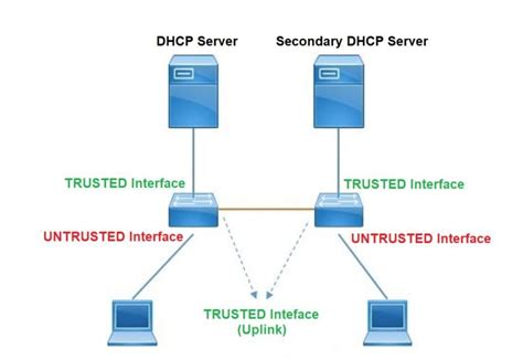 dhcp-snooping trust