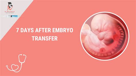Dhea After Embryo Transfer