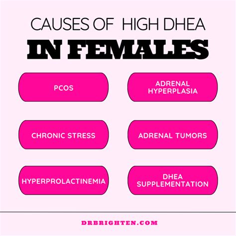 Dhea Mildly Elevated