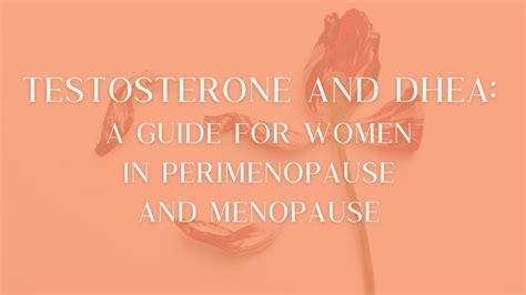 Dhea Perimenopause