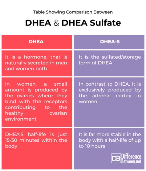 Dhea Sulfate Vs Dhea