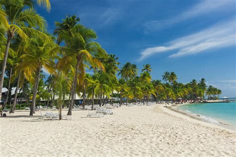Dhl Pointe A Pitre Guadeloupe