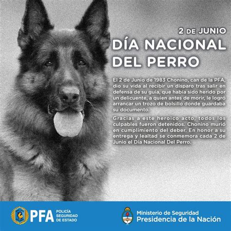 dia del perro chile