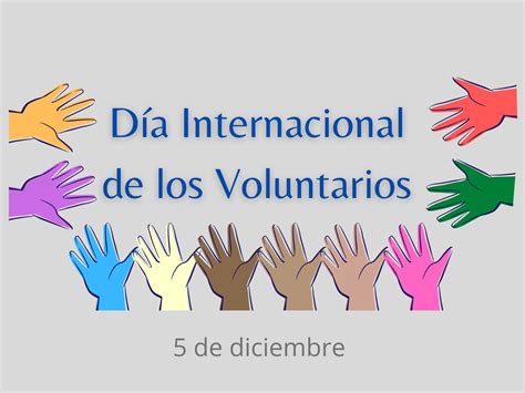 dia internacional del voluntario