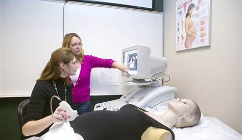 Diagnostic Medical Sonographer Education Needed What You Need To Know About A