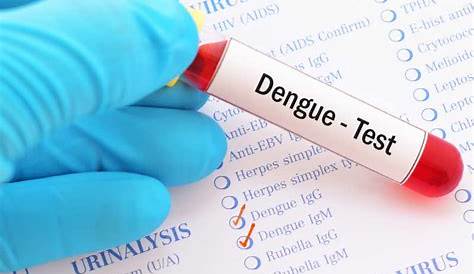 China 100 Original Factory Diagnostic Test Kits Dengue