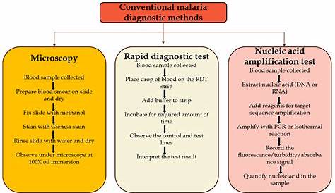 Diagnostic Test For Malaria Pdf (PDF) Evaluation Of The OnSite (Pf/Pan) Rapid