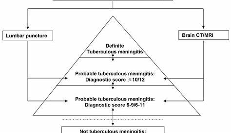 Diagnostic Test For Tb Meningitis Meningococcal Disease Infectious Disease Health