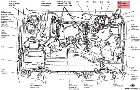 Diagnostic Insights Image