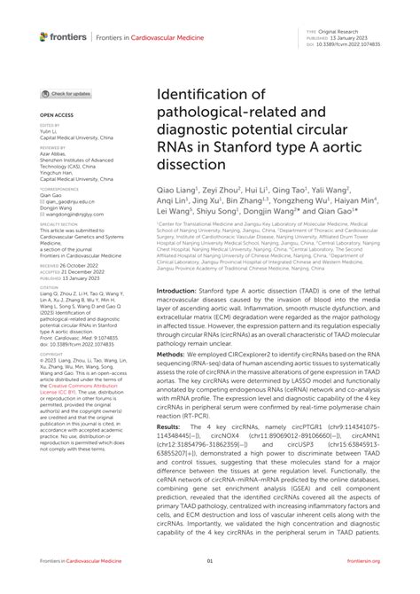 Diagnostic Potential Image