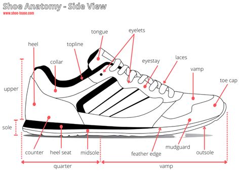Diagram Of Shoe
