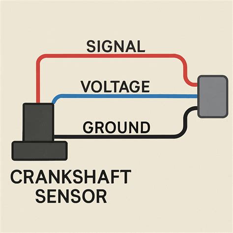 Diagram For Crankshaft Sensor