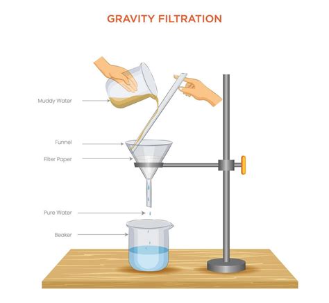 Diagram Of Filter Paper