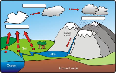 diagram of water cycle with labelling