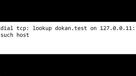 dial tcp lookup XXXXX on 10.96.0.1153 no such host · Issue 245